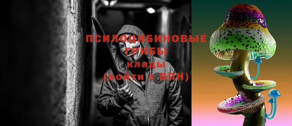 твердый Алексин