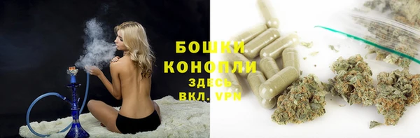 твердый Алексин