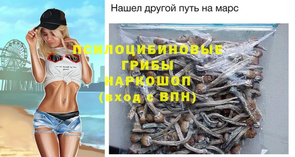 гидра Алзамай
