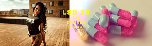 PSILOCYBIN Алексеевка